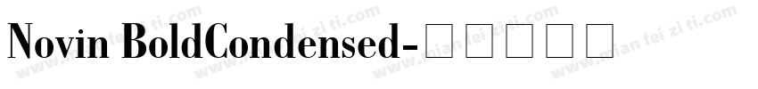 Novin BoldCondensed字体转换